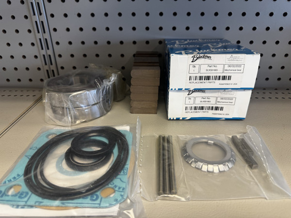Blackmer TXD3E Maintenance / Rebuild Kit (FKM/Viton)