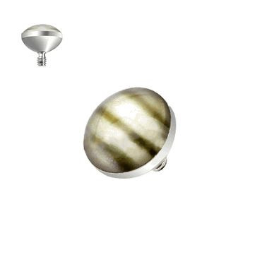 Surgical Steel Internally Threaded Shell Inlayed Dome Dermal Top