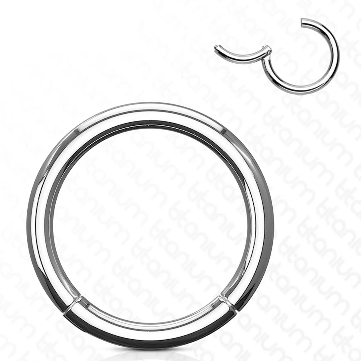 Titanium Hinged Segment Ring Clicker Hoop | Luxe Modz