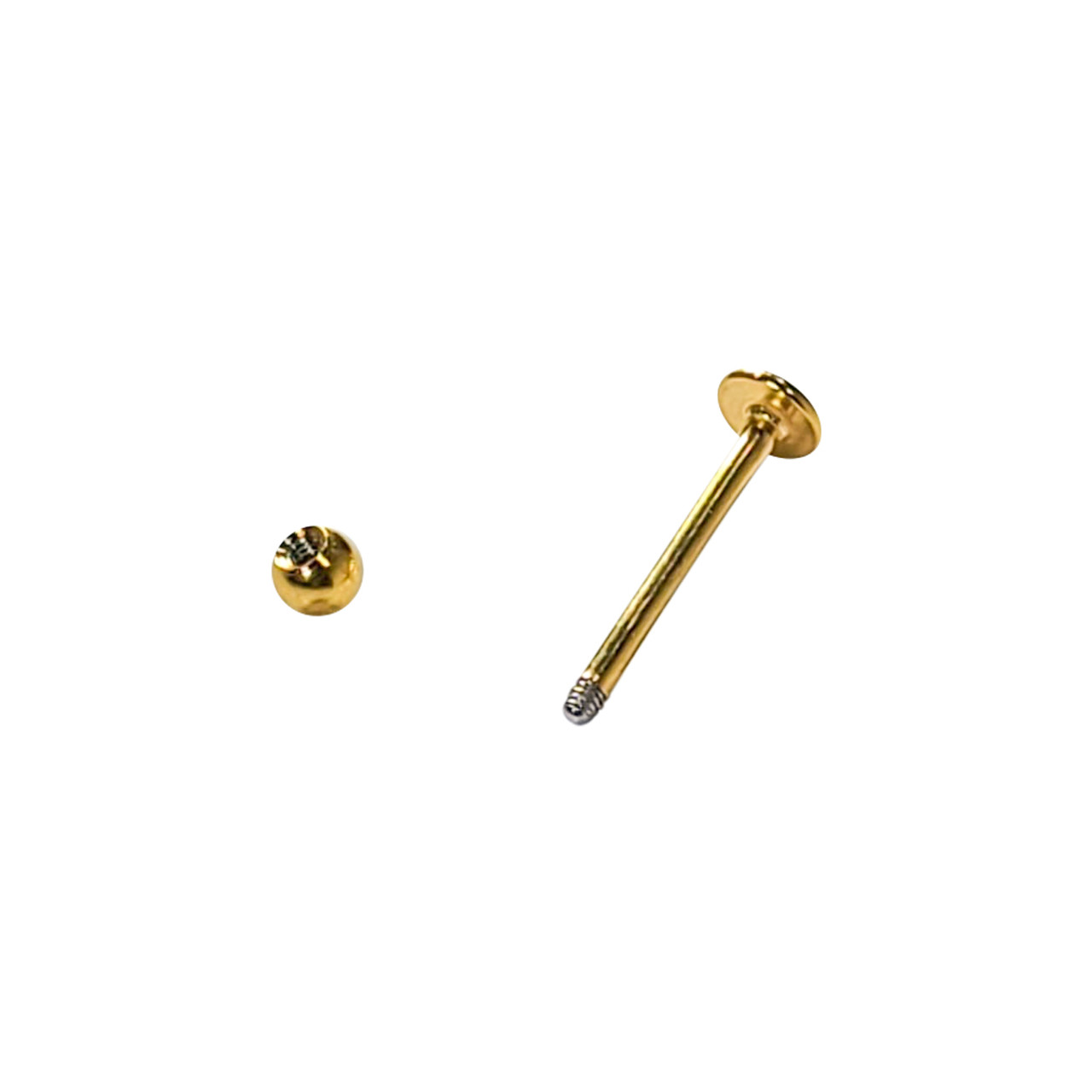Ion Gold Plated Surgical Steel Labret Flatback Ear Stud