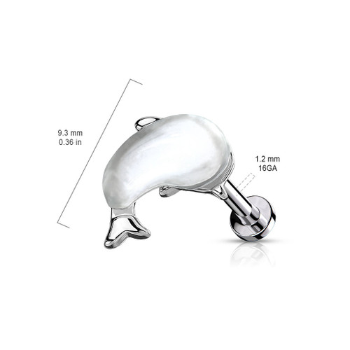 16G Whale Labret Flat Back Studs