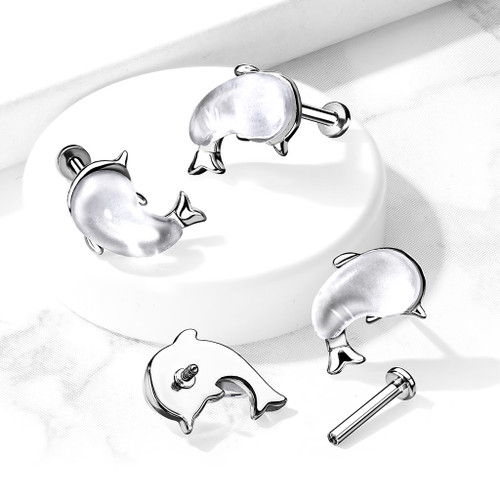 Flat Back Studsfor Labret Monroe Cartilage Whale design