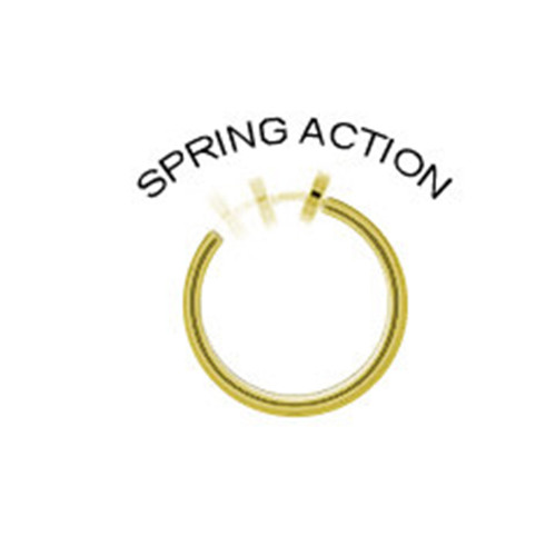 Spring Loaded Hoops Rings