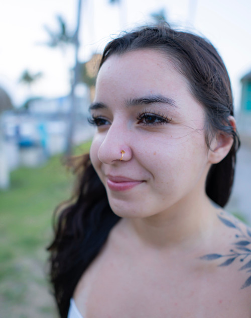 Nose & Cartilage 20G Hoop Ring Pot Leaf  design Anodized Surgical Pack of 4