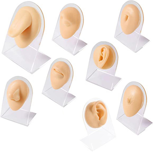 Silicone Flexible Body Part Displays Set