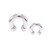 Horseshoe Circular Barbells