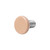 Pale Beige Disk Dermal Anchor Tops