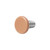 Medium Disk Dermal Anchor Tops