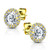 PVD Gold Round Halo CZ Earrings Stud