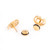 Pair of Gold Plated Spiral Brush Design Faux Plugs 16G