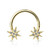 PVD Gold Horseshoe Circular Barbell