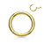 PVD Gold Hinged Clicker Segment Rings