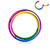 PVD Rainbow Hinged Clicker Segment Ring Piercing