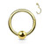 PVD Gold Fixed Ball Hinged Segment Hoop