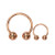 Stainless Steel Rose Gold Plated Horseshoes Ring