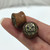 Double Flared Wooden Plugs