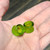 Ear Plugs Glass Double Flare Lemon Lime Green - Sold as a pair