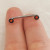 14G Flat Disc Star Staple Surface Barbell