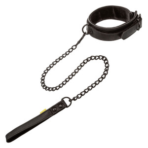 Boundless Collar & Leash M919-SE2702403 Boundless Collar & Leash M919-SE2702403