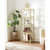 Narrow Gold Metal Frame Glass Shelves Shelving Unit Slim 4-Shelf Bookcase Q280-VFTBGLD79863520