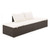  Patio Bed Brown 76.8"x23.6" Poly Rattan A949-43954