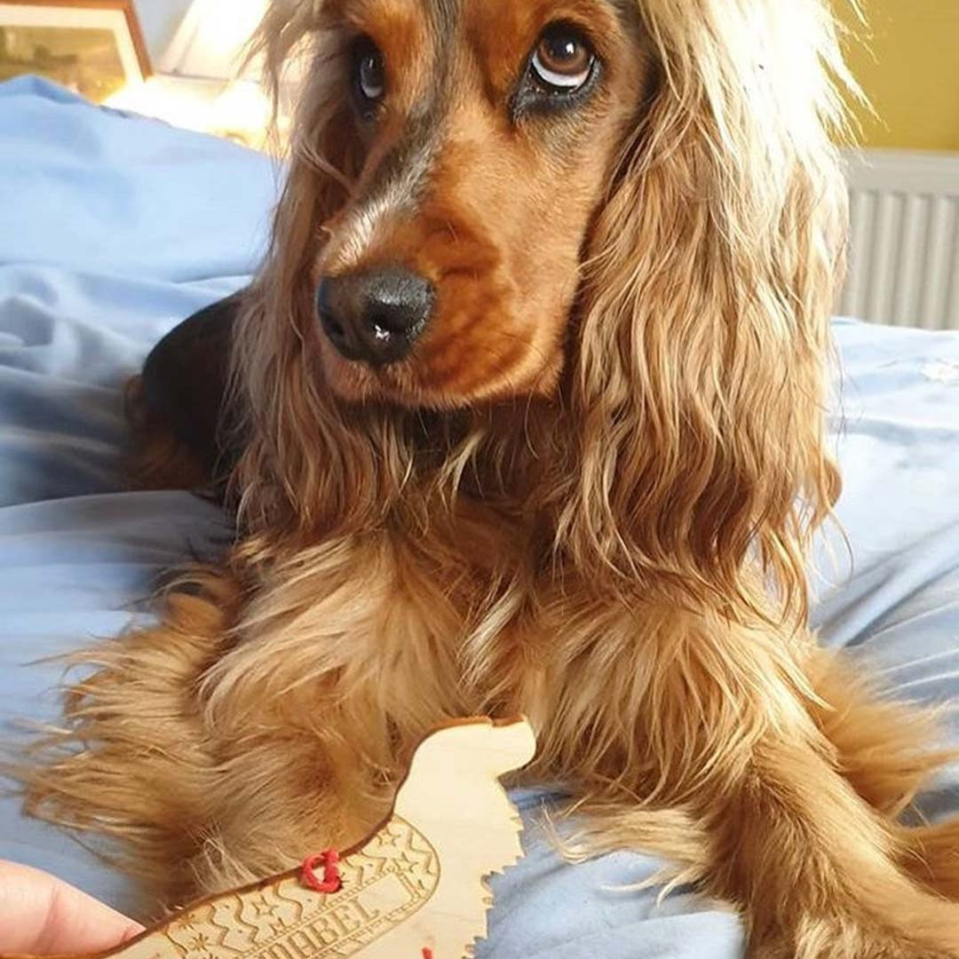 Personalised Cocker Spaniel Dog Pet Decoration Long Tail The