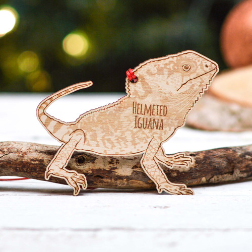 Personalised Helmeted Iguana Decoration