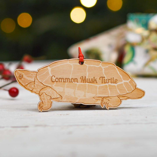 Personalised Common Musk Turtle Decoration