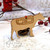 Personalised Cow Decoration