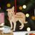 Personalised Welsh Sheepdog Dog Decoration