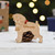 Personalised Schnoodle Dog Decoration - Detailed