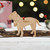 Personalised Pitbull Dog Decoration - Detailed