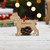 Personalised Jagdterrier Dog Decoration - Detailed