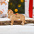 Personalised Drever Dog Decoration - Detailed