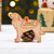 Personalised Estrela Mountain Dog Decoration - Detailed