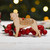 Personalised Dogo Argentino Dog Decoration - Detailed