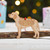 Personalised Braque du Bourbonnais Dog Decoration - Detailed