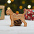 Personalised Giant Schnauzer Dog Decoration - Detailed