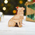 Personalised Chiweenie Dog Decoration - Detailed