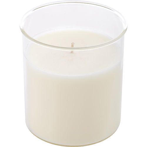 SPARKLING CHAMPAGNE by Northern Lights ESQUE CANDLE INSERT 9 OZ