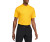 Nike Men's Dri-FIT ADV Victory Golf Polo