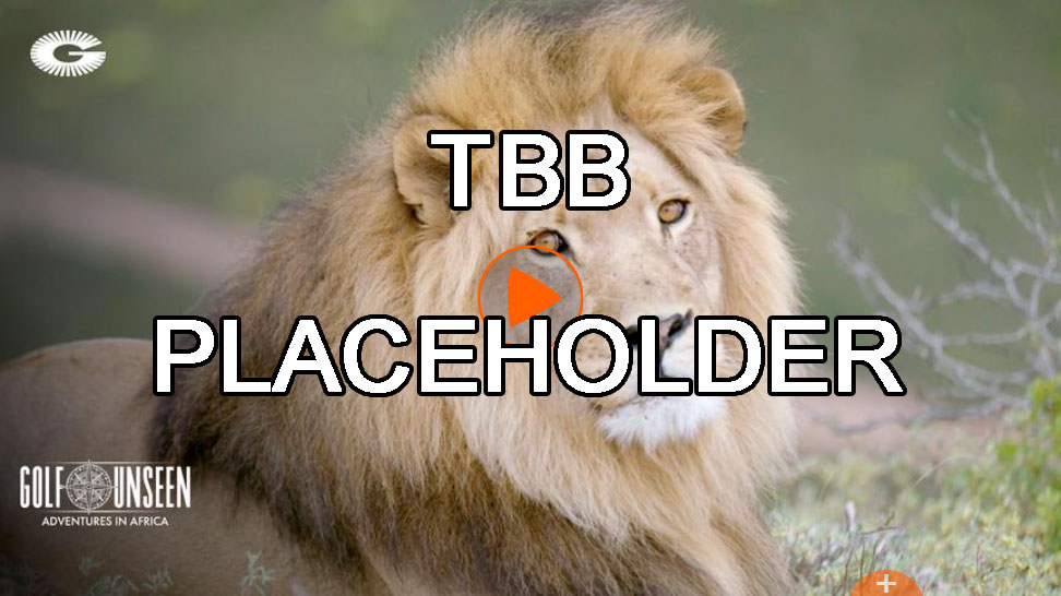 TBB Placeholder