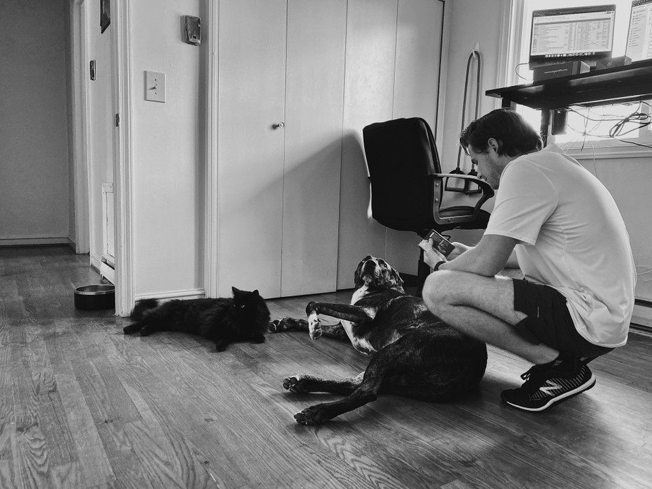 Collapsible Dog Crates for Apartments and Small Spaces