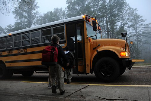 Homeopathic Remedies for Starting the School Year!