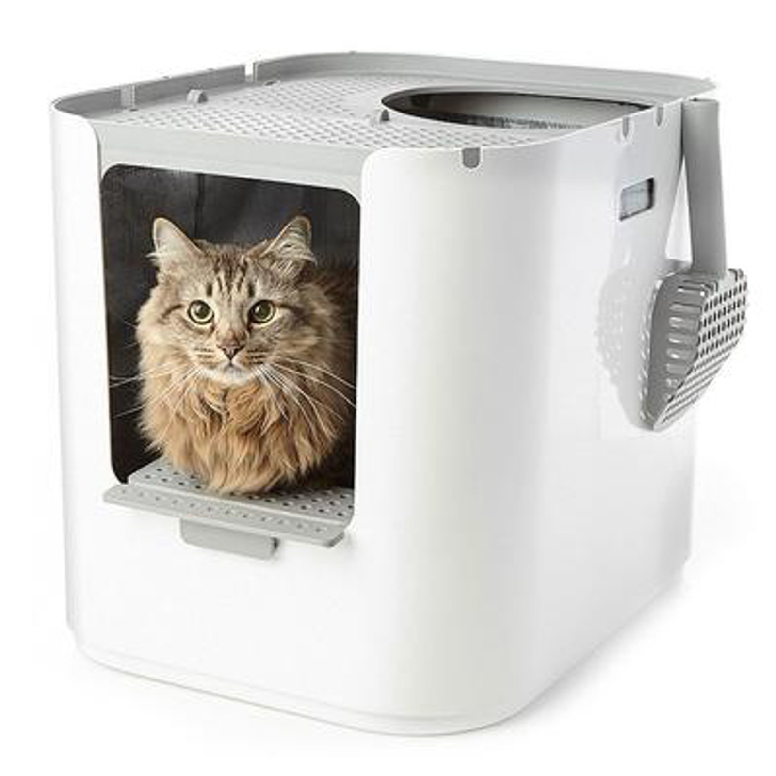 Modkat XL Litter Box - Cat sold separately