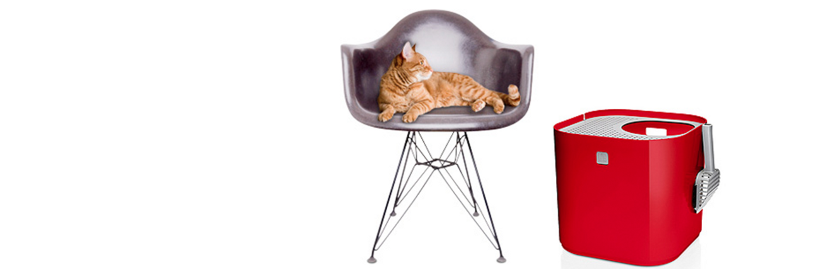Pet Accessories