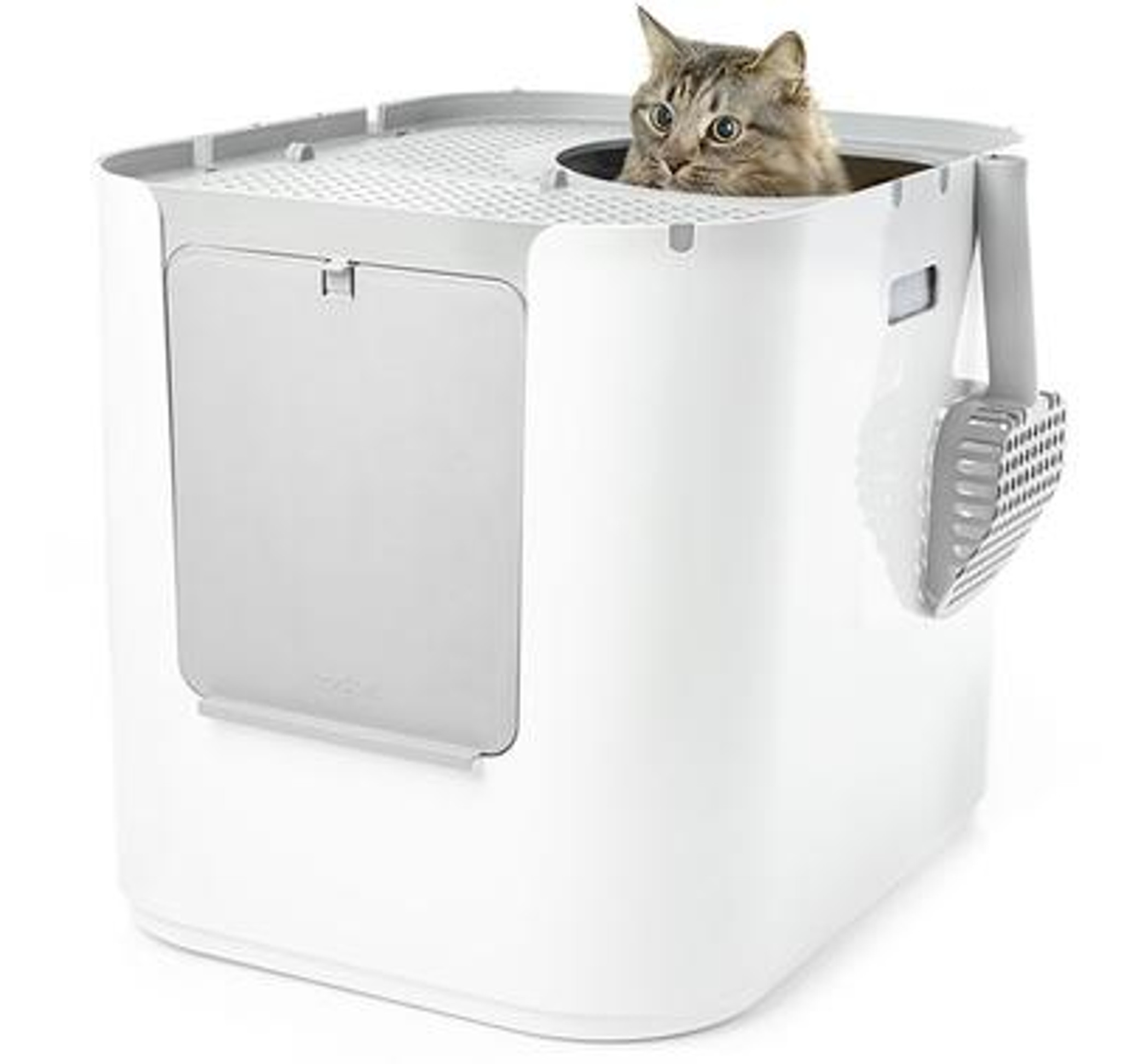 Modkat XL Litter Box White available in Australia