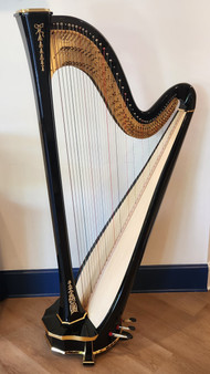 Salvi Arion SG Gold (Ebony New #P25021)