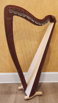 Salvi T2 New - Cherry #L50494