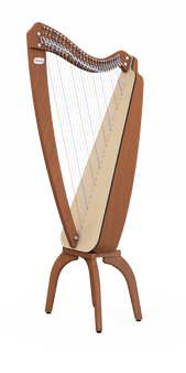 Camac Odyssey New (Cherry #E181)